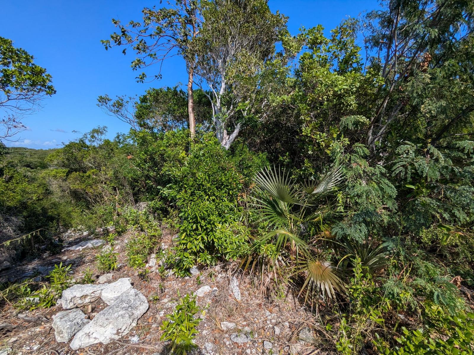 Lot #8857 JAMAICA DRIVE — photo 5