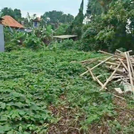 Studio house in Badung — photo 1