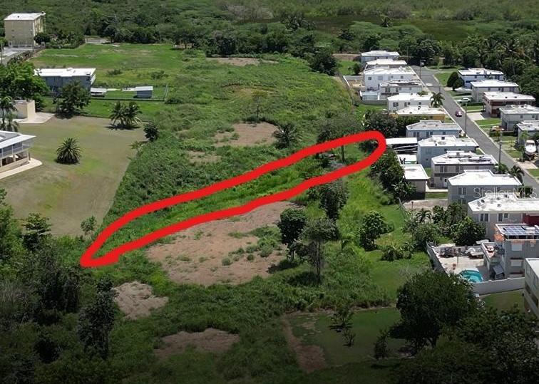Boqueron 6.5 Acre Opportunity — photo 4