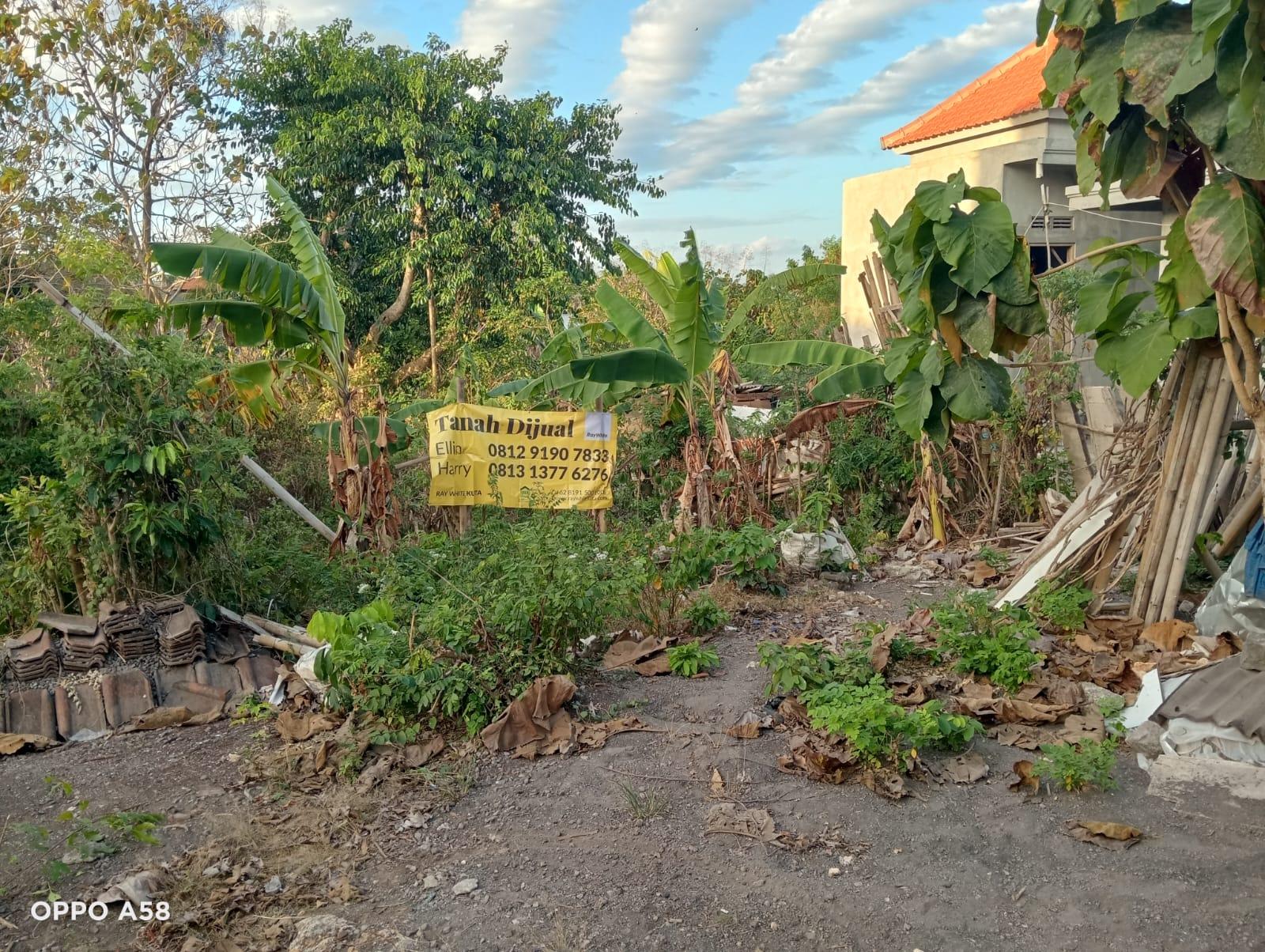 Strategic Freehold Land in Ungasan Near Pecatu Graha — photo 3