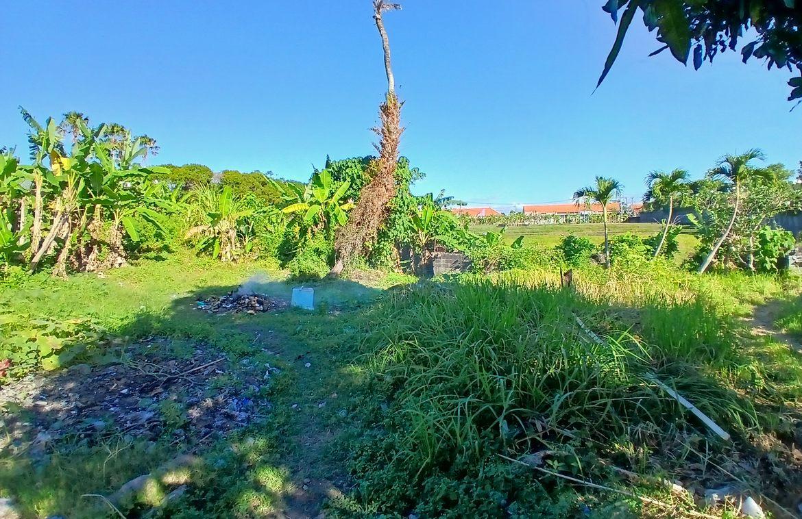 1,276 sqm freehold land with rice field views in Bumbak — photo 1