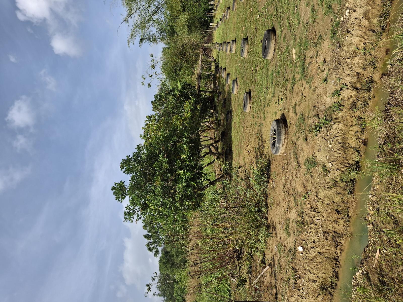 Residential land Boodoo Highway Sangre Grande — photo 5