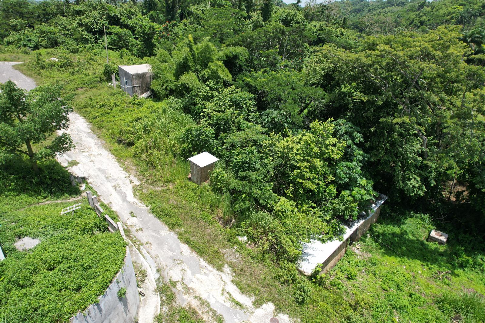 Haughton Court Lucea, Hanover — photo 5