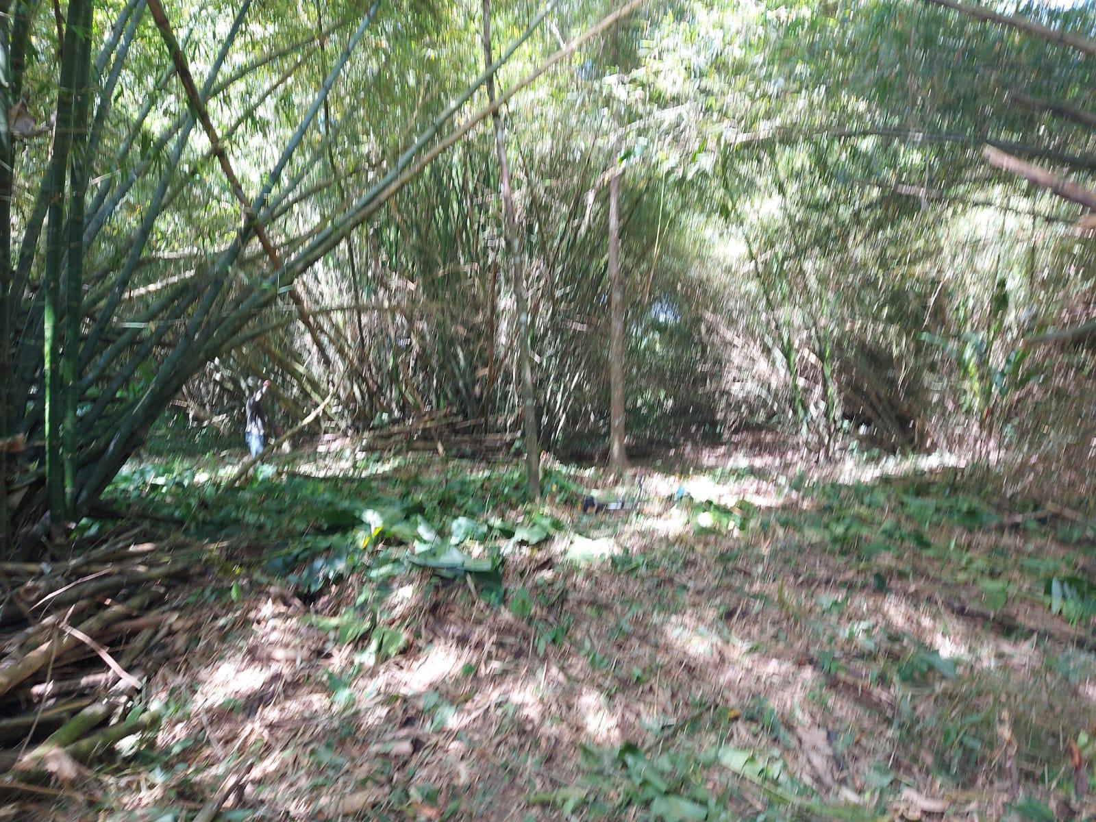 Residential Land for Sale - Sangre Grande, Trinidad — photo 5