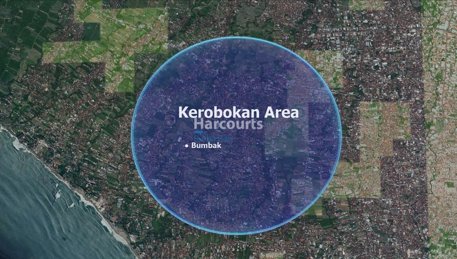 Prime Development Opportunity in Bumbak, Umalas — photo 5