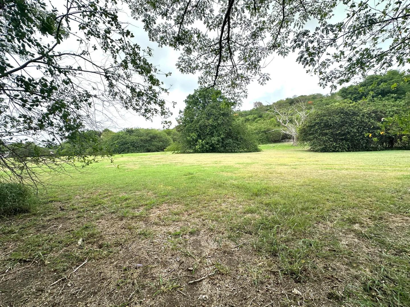 0.56 Acre Homesite in Queen's Quarter — photo 4
