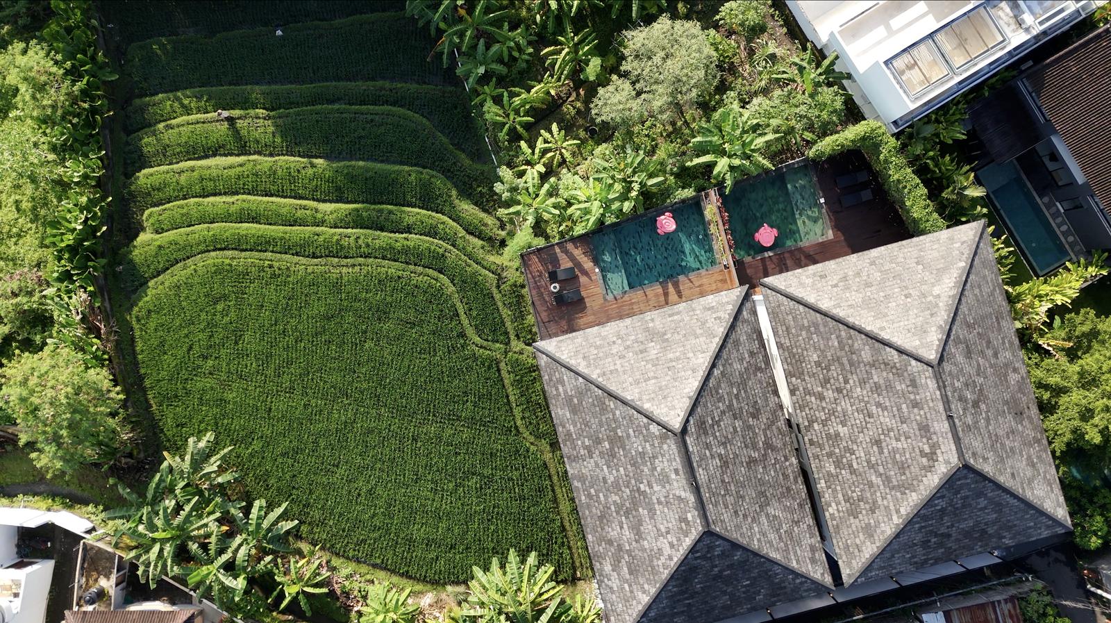 4 bedroom villa for sale in Canggu — photo 2