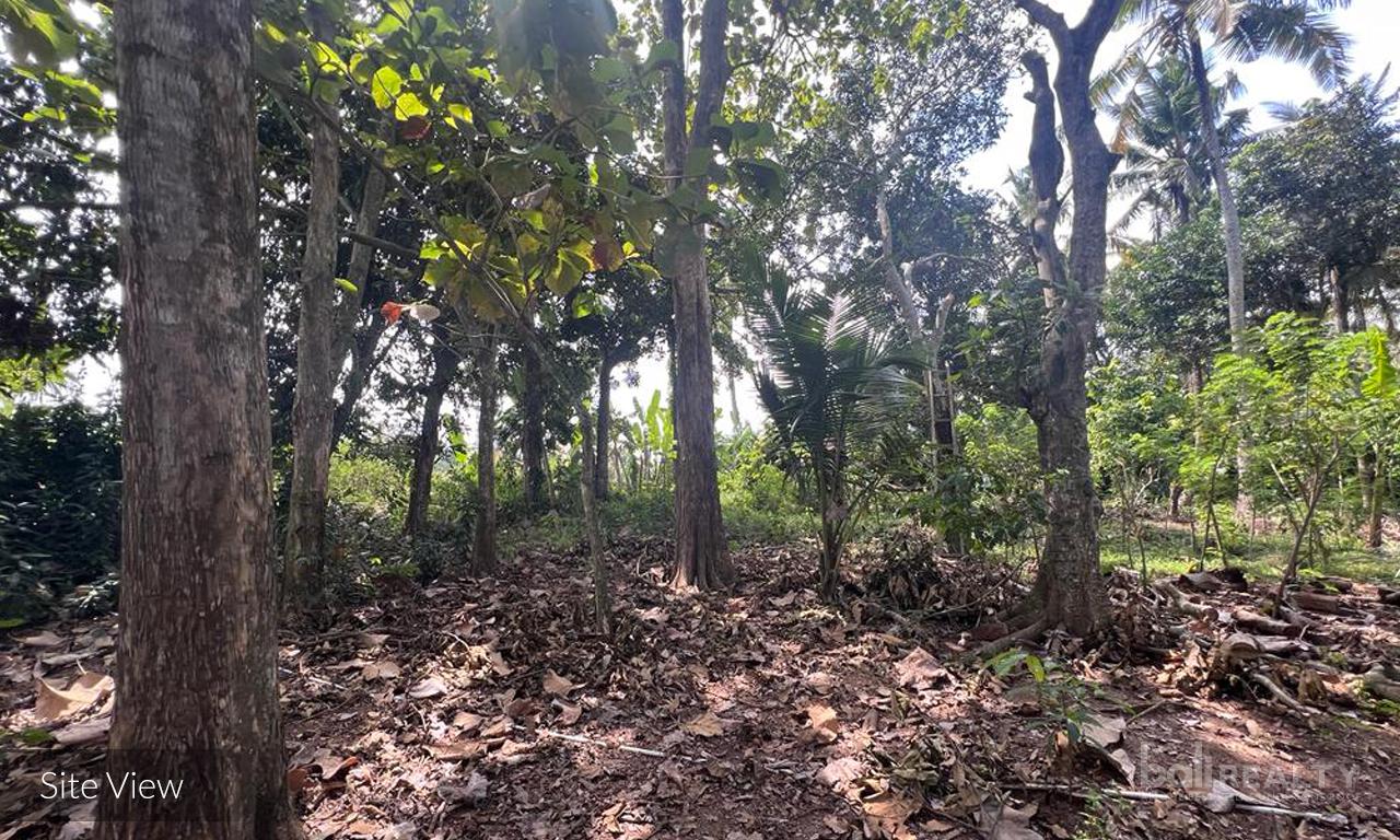 Exclusive Riverfront Leasehold Land: 32.3 ARE in Tabanan — photo 3