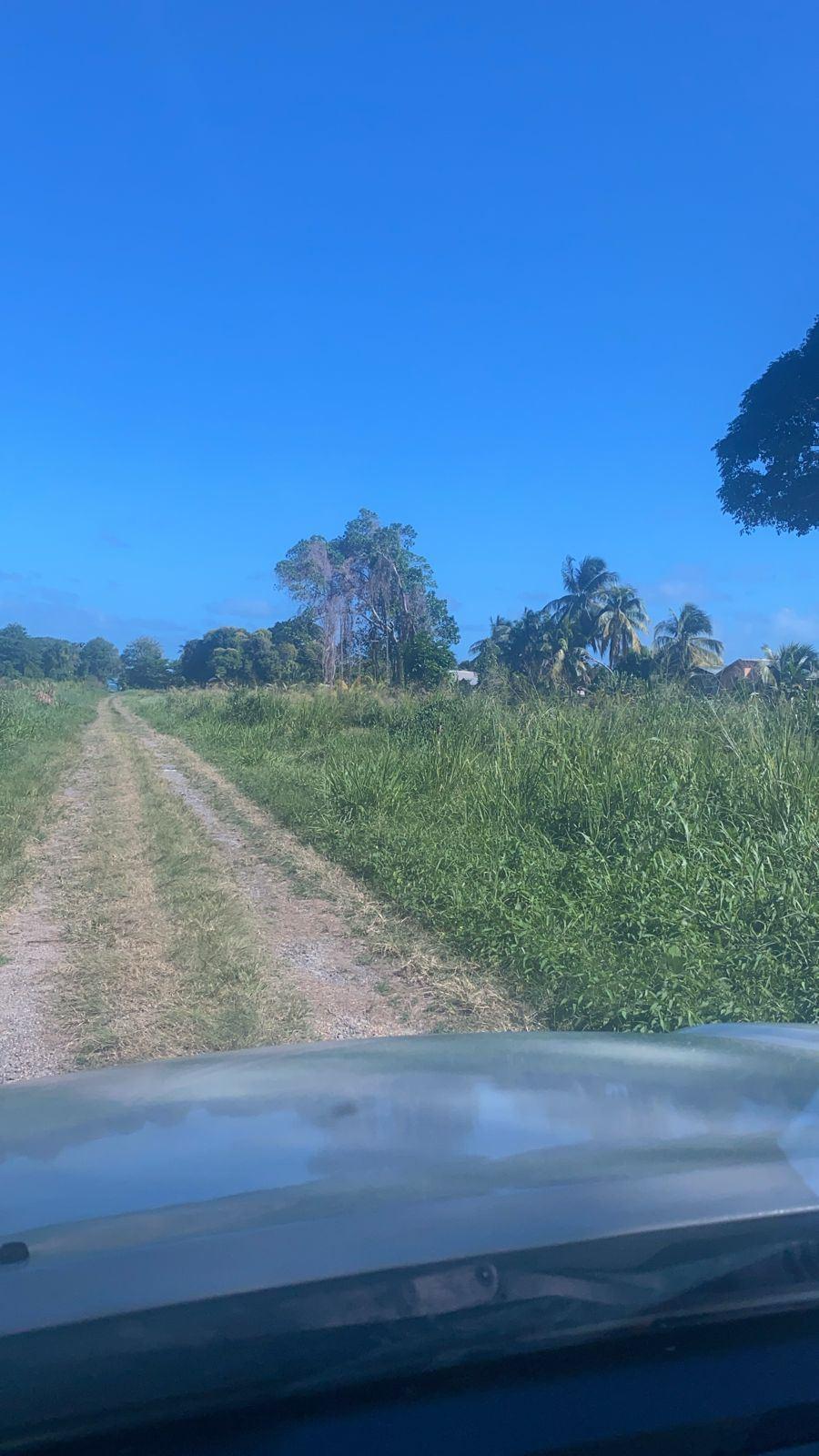 Prime Mayaro Lots for Sale Near Beachfront (Lot 5K) — photo 3