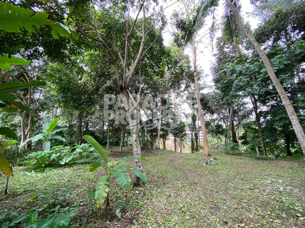 Stunning Valley Views – 2900 Sqm Freehold Land – Keliki — photo 4