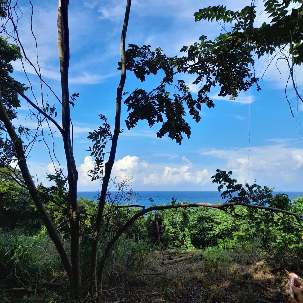 Boston Beach, Fairy Hill Portland Fairy Hill — photo 2
