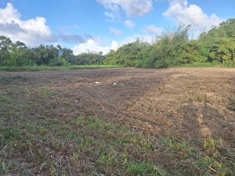 Pre Sales Lots for Sale in Oropouche Sangre Grande — photo 4
