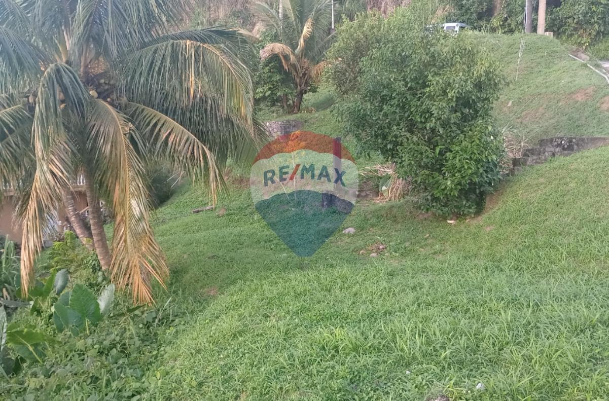 GOMEA RESIDENTIAL LOT — photo 1