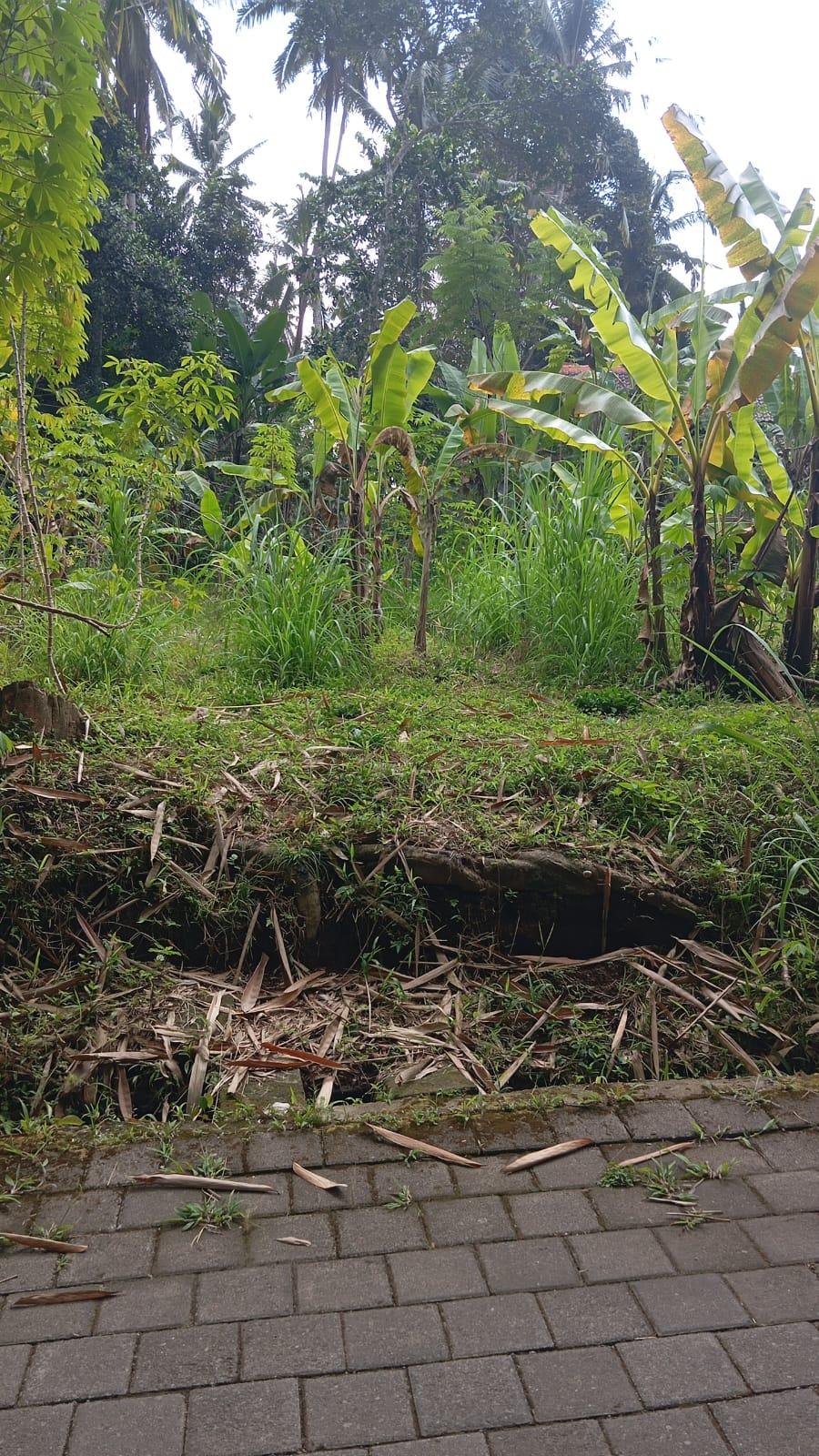 Beautiful land for sale in Kelusa, Payangan, Gianyar, Bali — photo 3