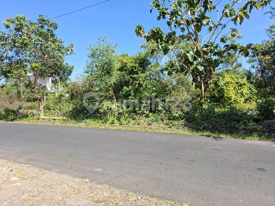 Land Parcel for Sale in Bali, Indonesia — photo 5