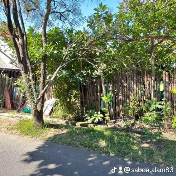 Studio house in Denpasar — photo 1
