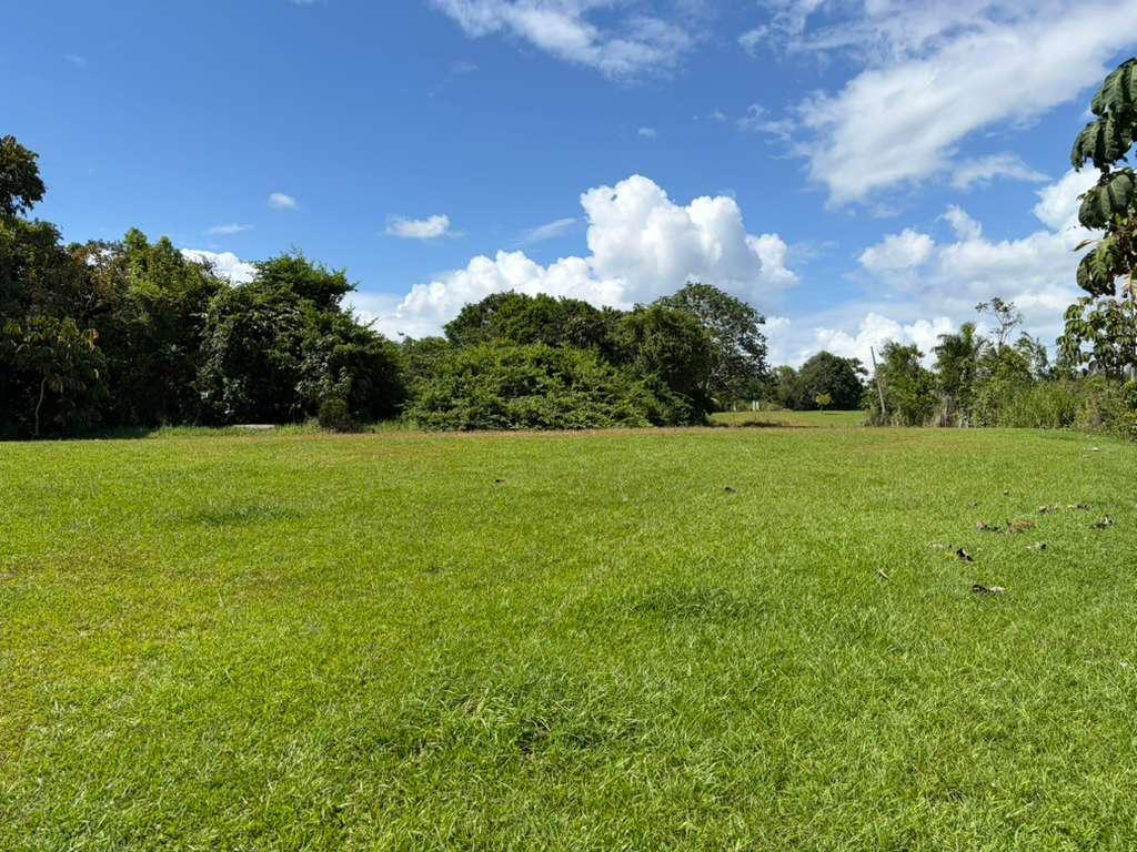Lot in Bo. Calabaza, San Sebastián, P.R — photo 1