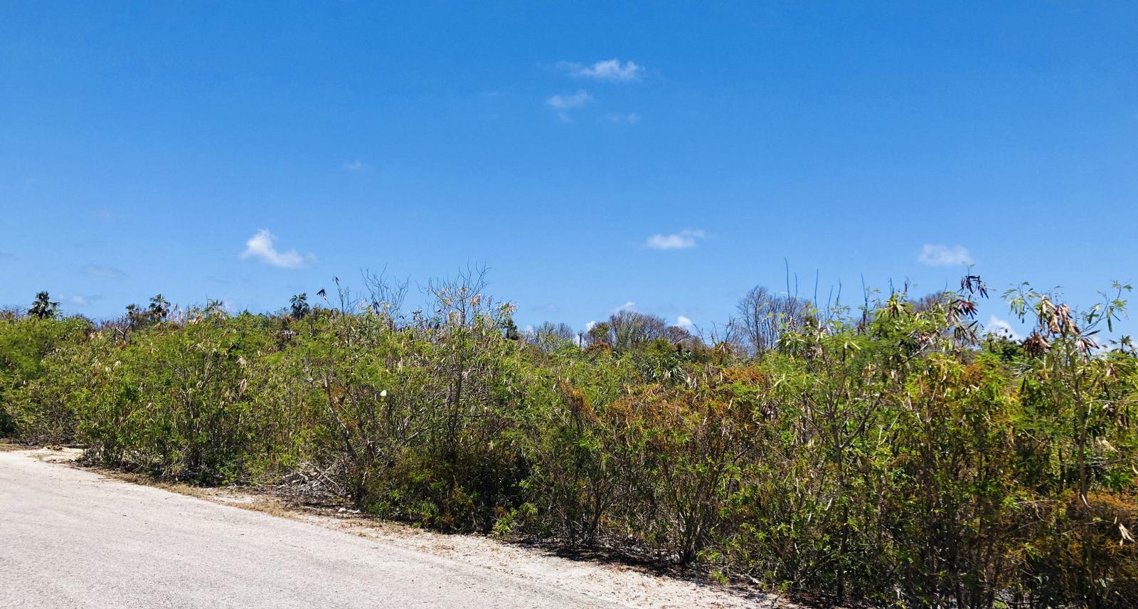 Colliers Duplex Lot - .32 Acres — photo 3