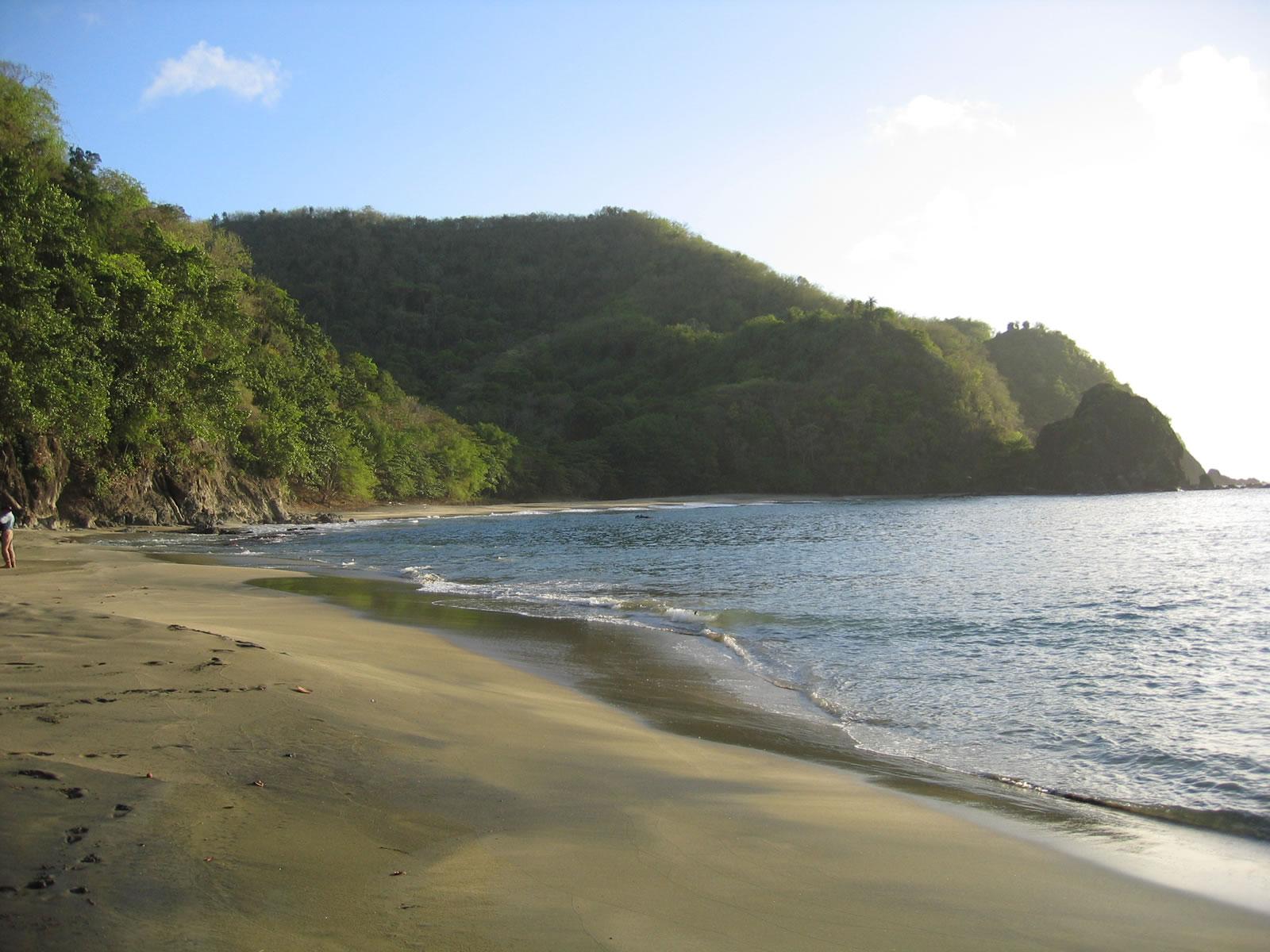 100 Acres of Land for Sale, Cotton Bay, Tobago — photo 1