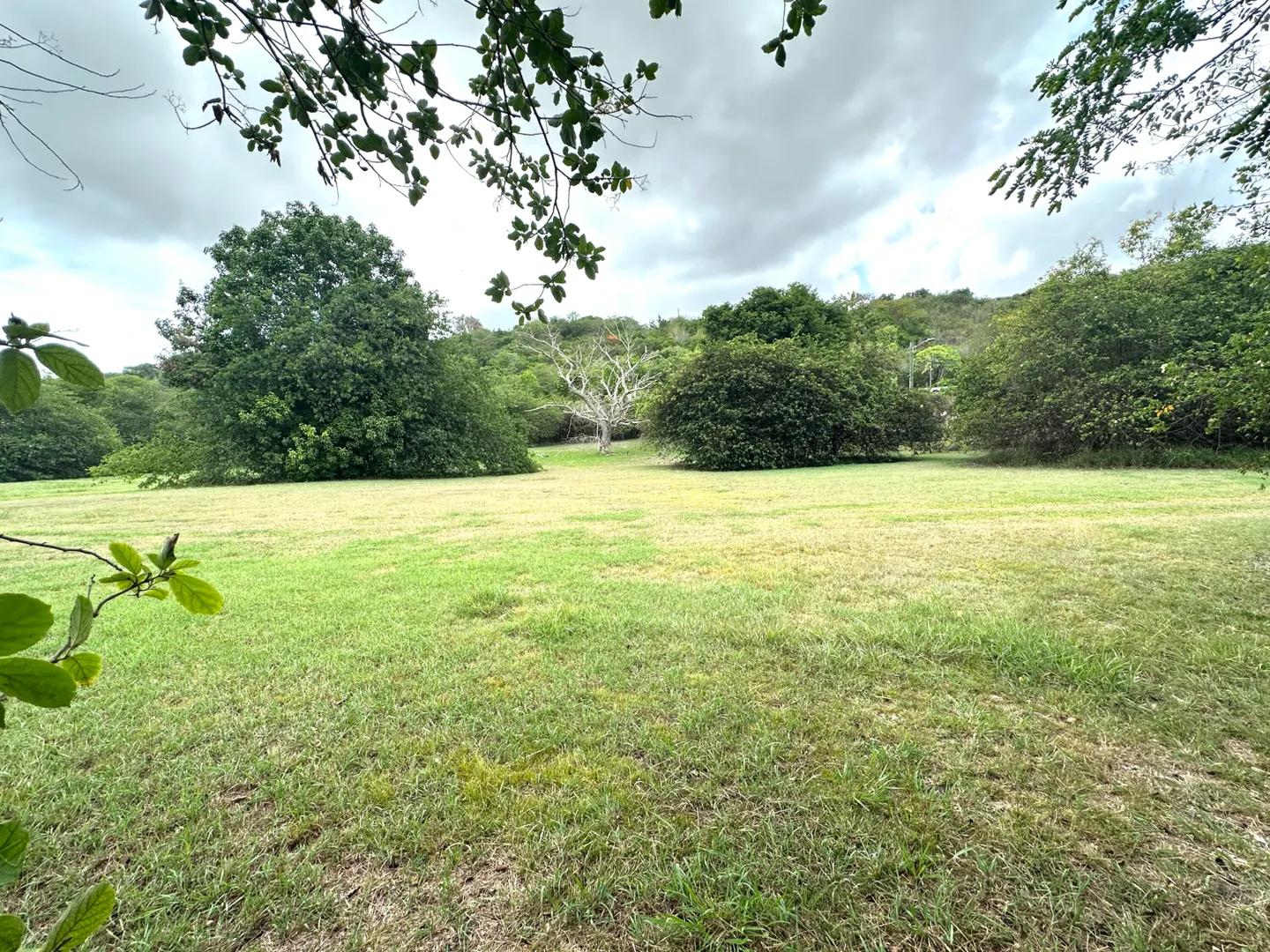0.56 Acre Homesite in Queen's Quarter — photo 2