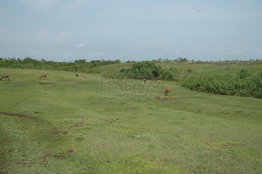 Beautiful 36 Are Land Parcel in Nyanyi Beach, Tabanan — photo 2
