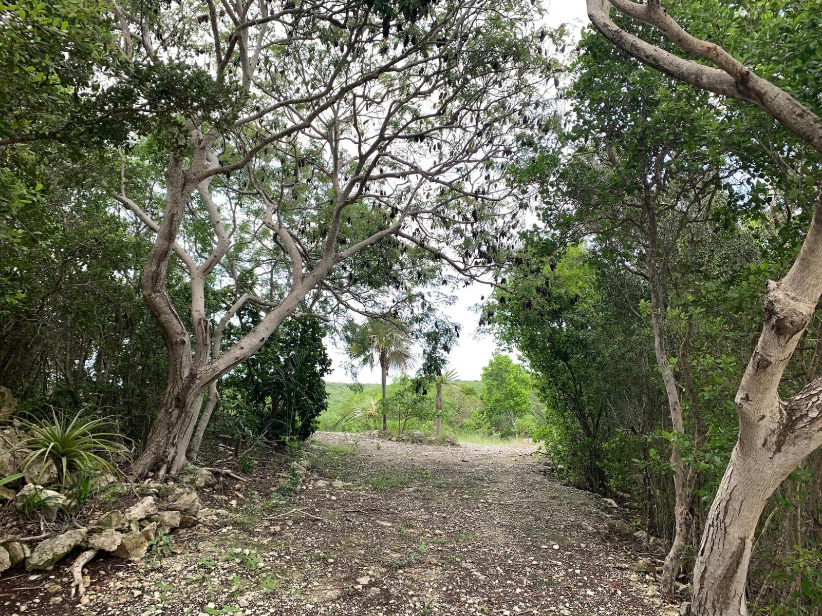 SEYMOUR’S HILLTOP SEAVIEW — photo 3