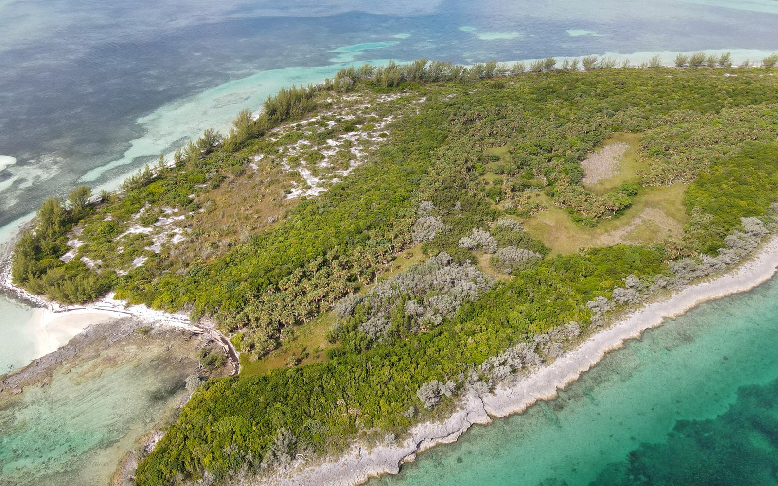 Joe's Cay - MLS 67940 — photo 5