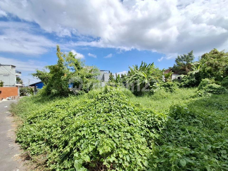 Premium land for sale in Pererenan, Canggu, Bali — photo 3