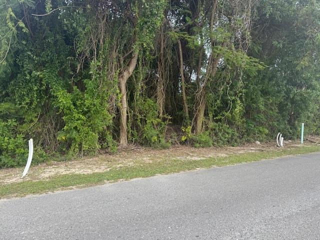 Sunrise Drive Land Parcel in Nassau — photo 2