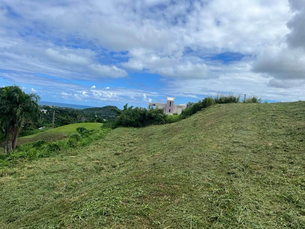 Lot/Land — For sale — photo 4