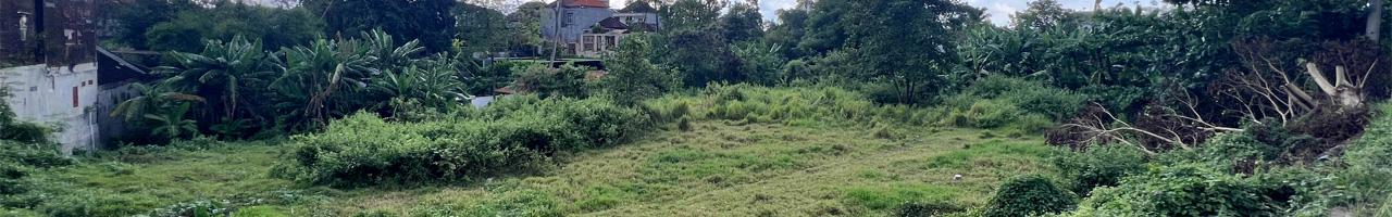 Prime 22.3 ARE Yellow Zone Plot for Residential Development in Padonan, Canggu — photo 2
