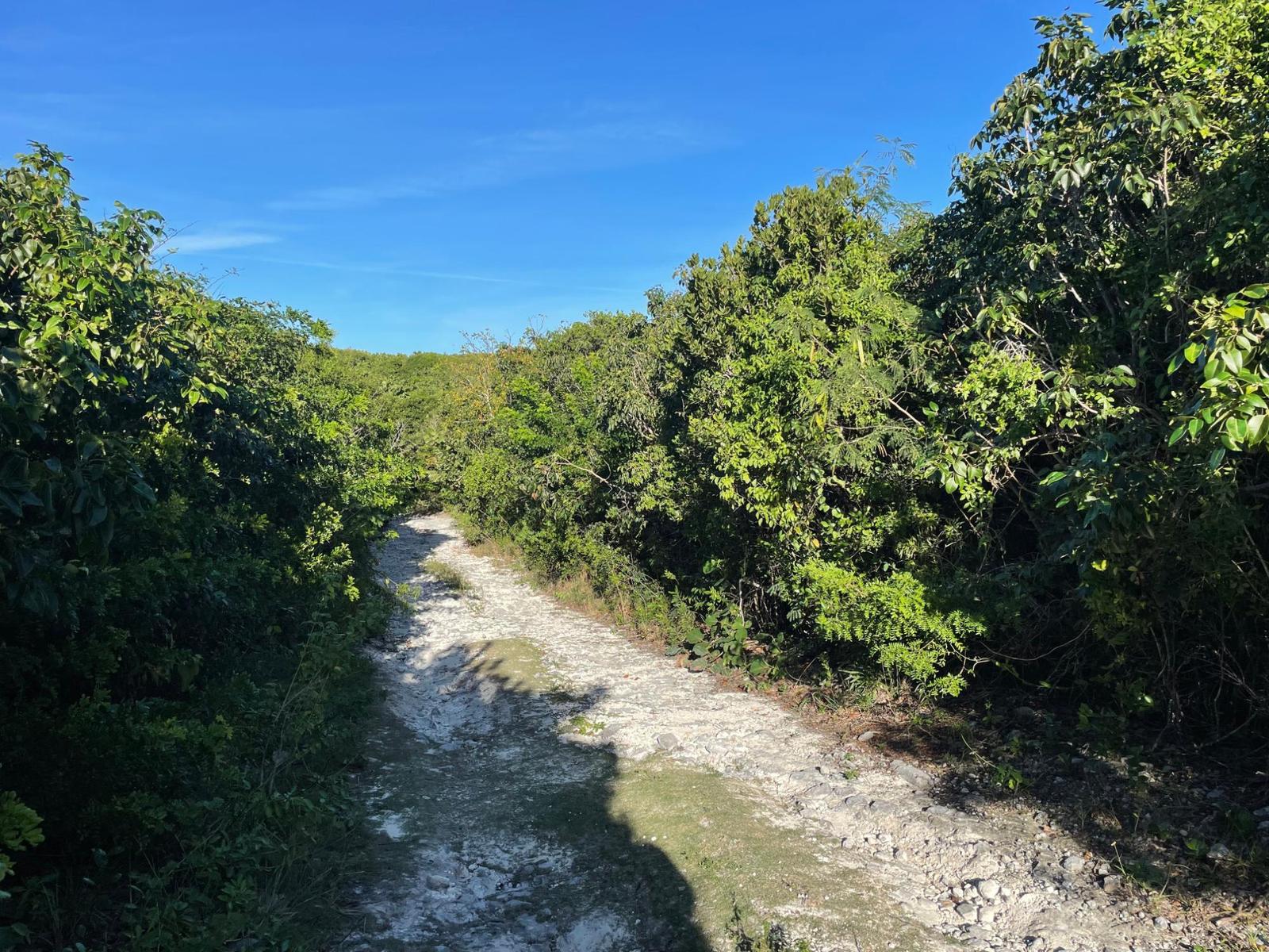 ELEUTHERA ISLAND SHORES — photo 2