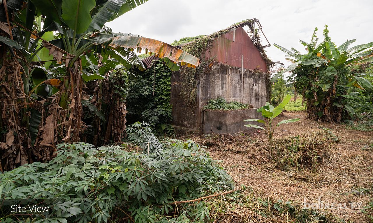 Ready to build 20 – 30 are freehold land with scenic nature views in Cepaka — photo 4