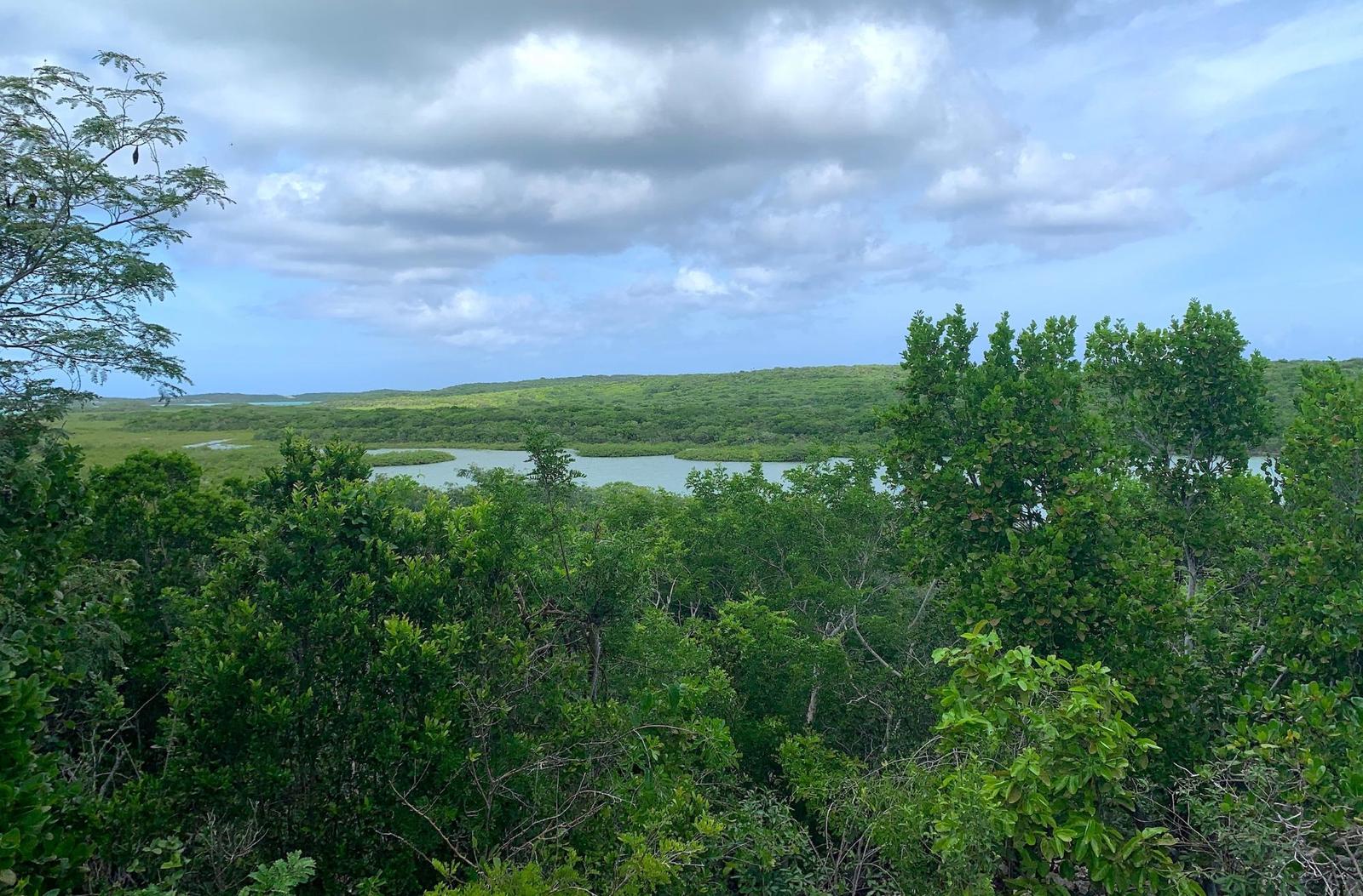 SEYMOUR’S HILLTOP SEAVIEW — photo 2