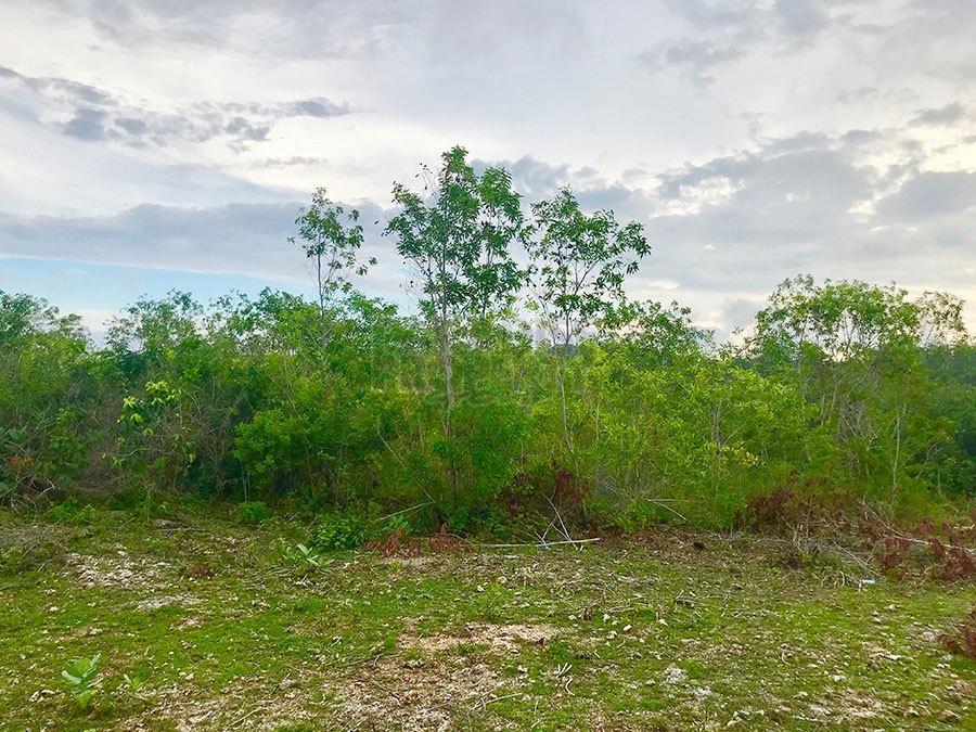 Perfect Freehold Land Plot for Sale in Jimbaran — photo 4