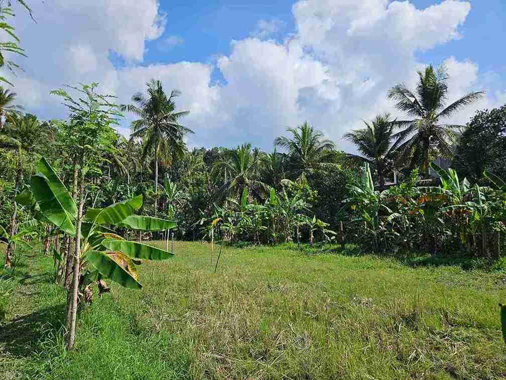 Prime Investment Land for Sale or Lease in Karangasem, Bali — photo 3