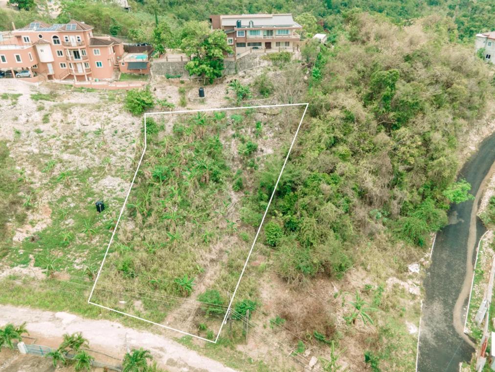 Red Hills Jamaica 0.32 Acre Opportunity — photo 1