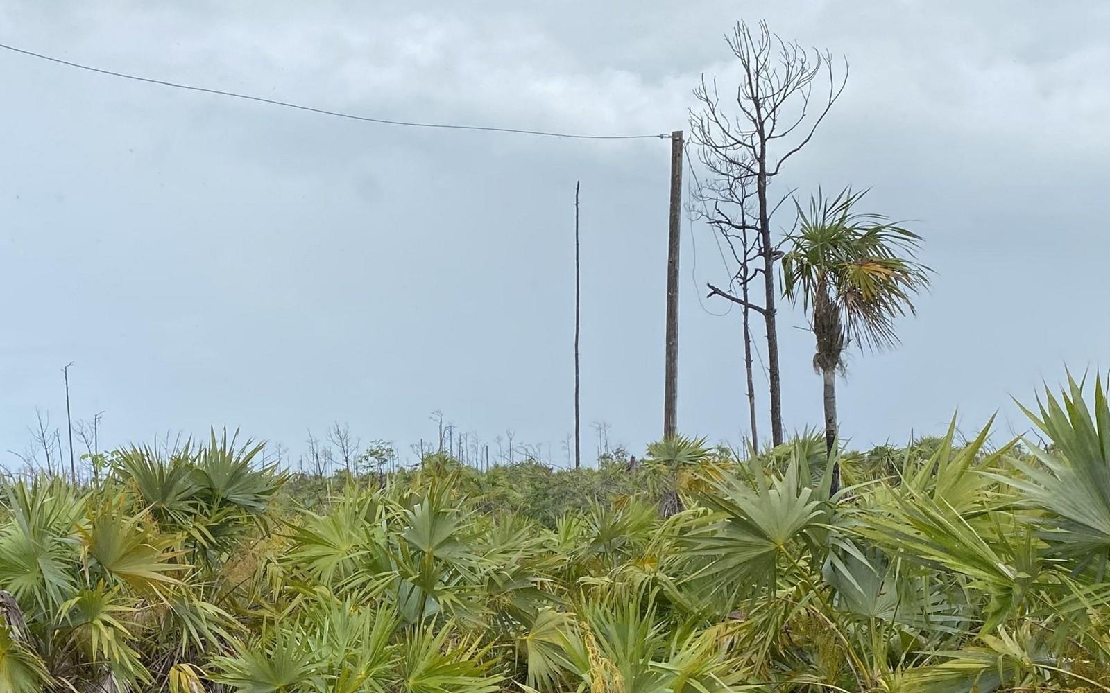 LOT 17 LUCAYA ESTATES — photo 4