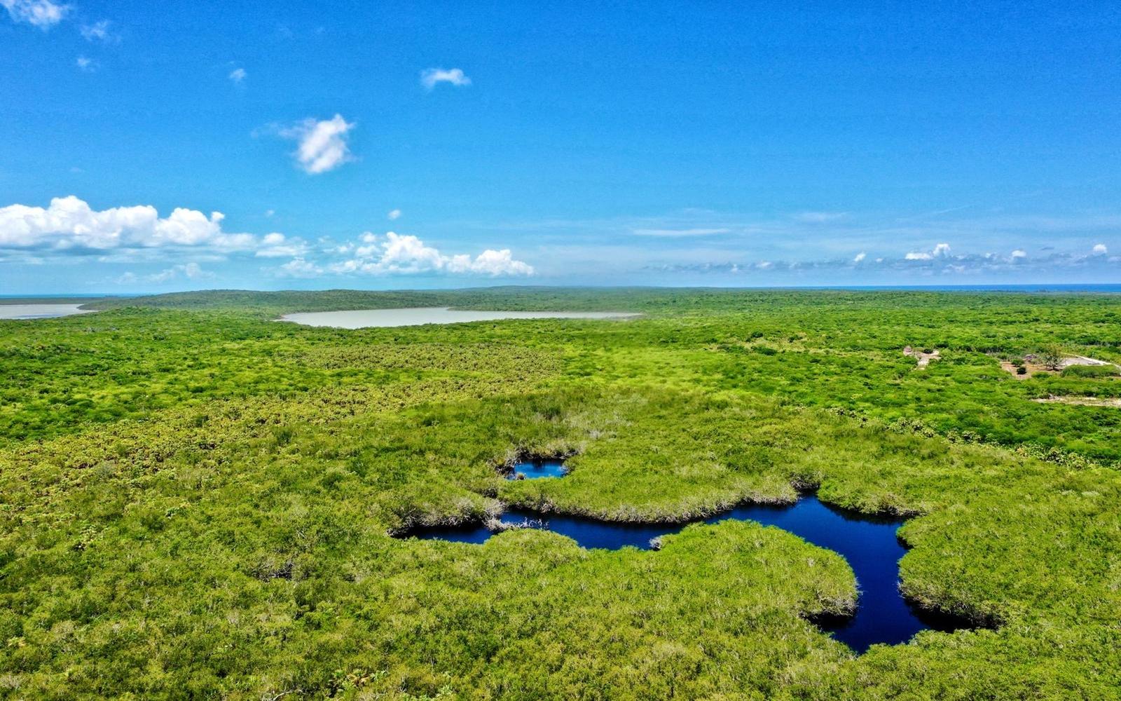 35 Acres Waterfront Land for Sale in Cat Island, Bahamas — photo 5