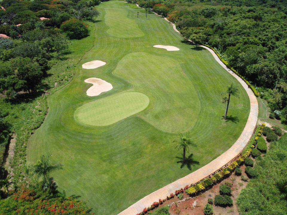 Guavaberry Golf & Country Club 0.10 Acre Lot — photo 4