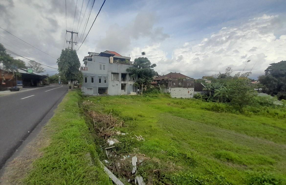 2,230 sqm Padonan Land Ideal for Residence or Villa Complex in Canggu, Bali, Indonesia — photo 4