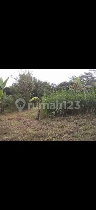Super Cheap Land North Taro Ubud Ready to Build — photo 4