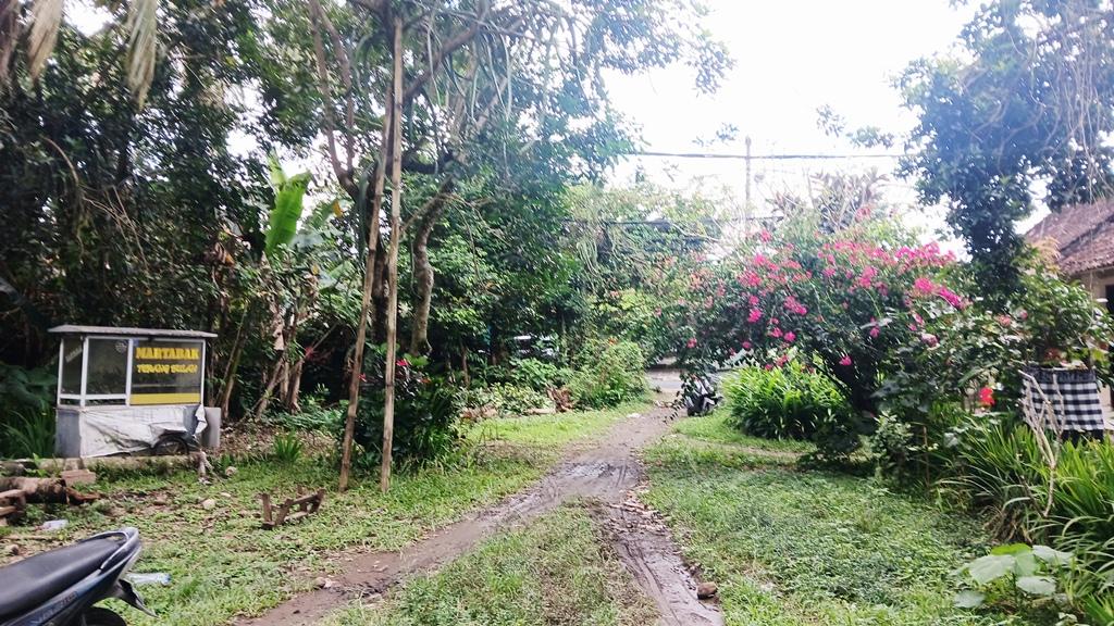 Prime Tourism-Zone Roadside Land Near Royal Pita Maha — photo 4