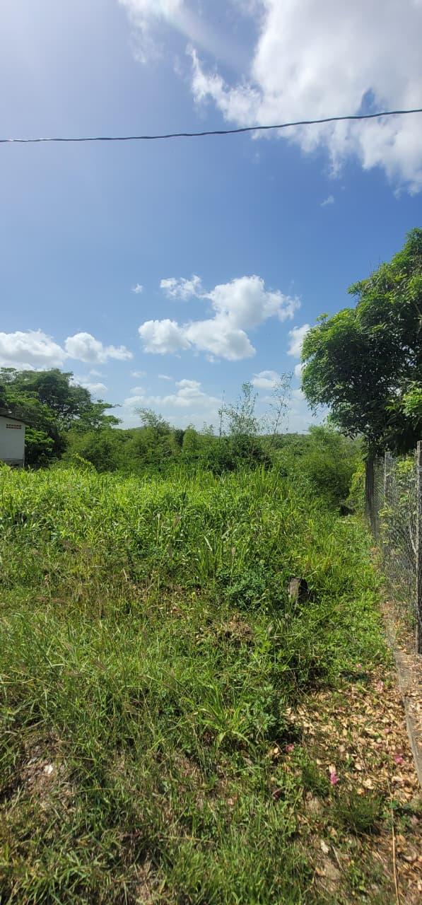 Land for sale williamsville South Trinidad Morne Roche Road — photo 3