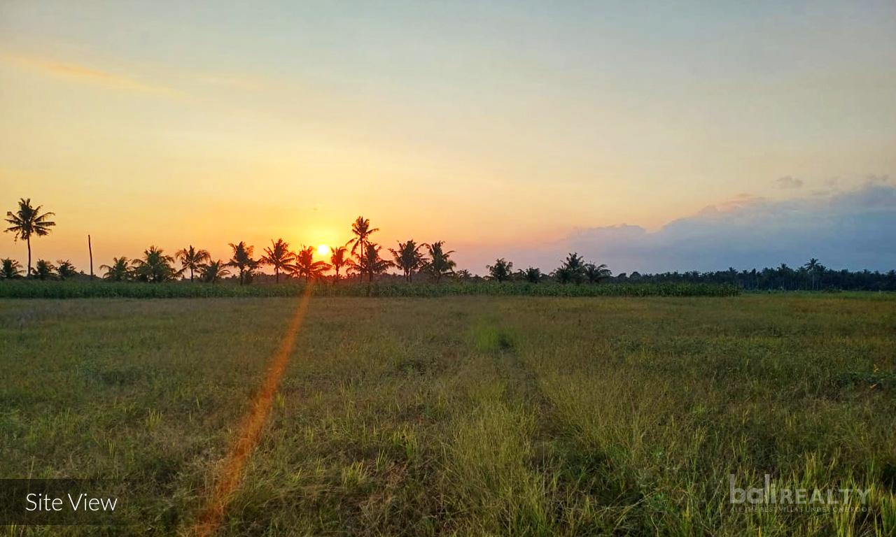 Vast 52.7 ARE Leasehold Land with Stunning Natural Views in Tabanan — photo 1