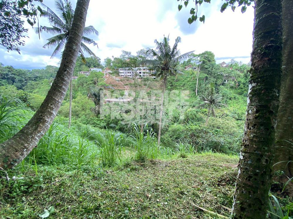 Stunning Valley Views – 2900 Sqm Freehold Land – Keliki — photo 2