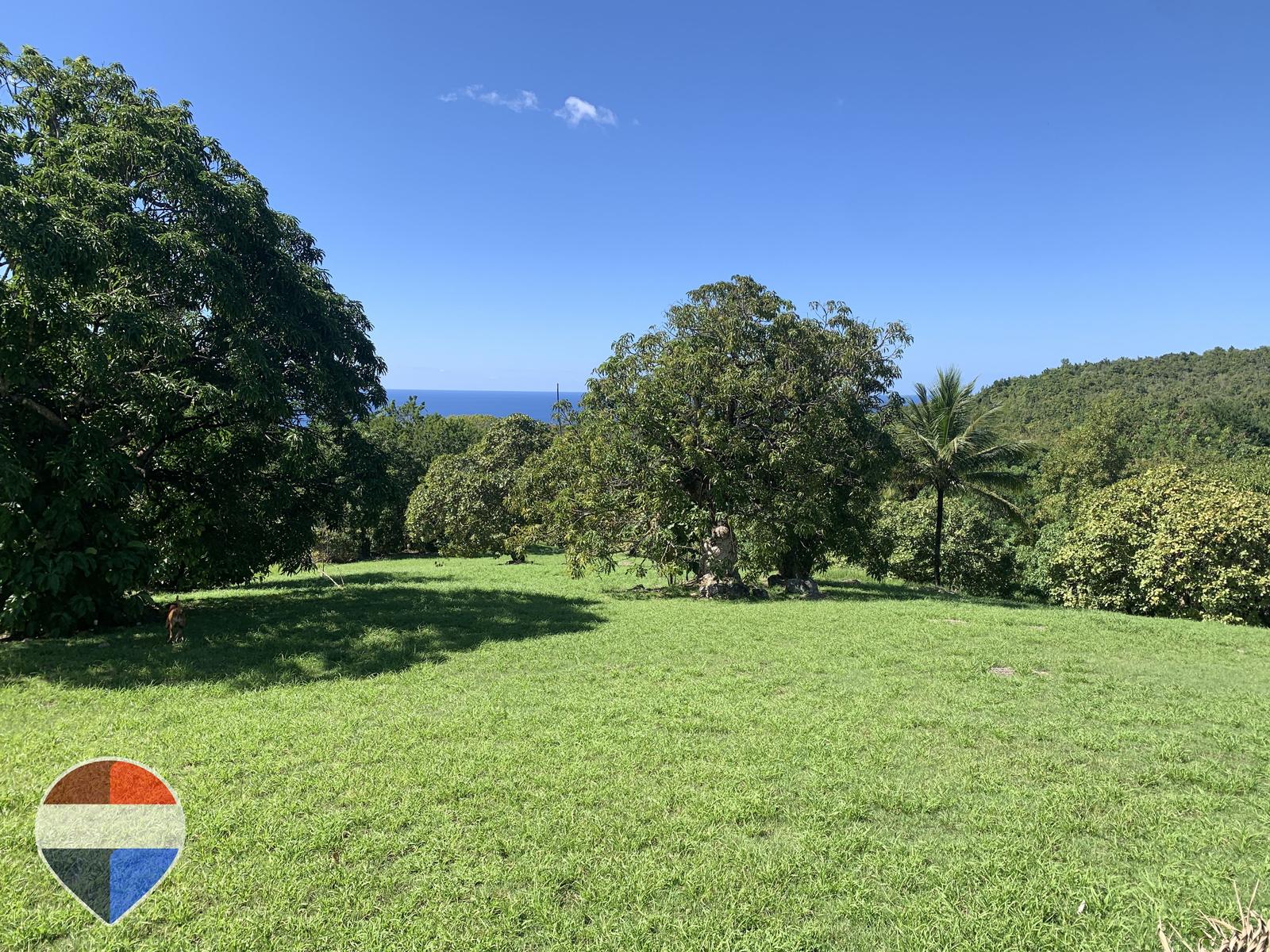 Theodorine Estate: 20-Acre Elevated Sanctuary with Sweeping Caribbean Sea Views — photo 2