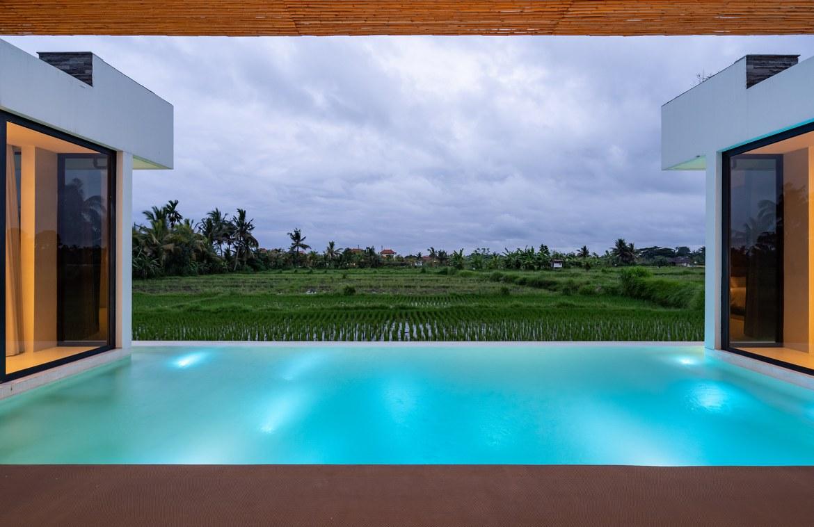 2 bedroom villa for sale — Rice field view Villa with Rooftop & Spa Features in Sayan, Ubud — photo 2