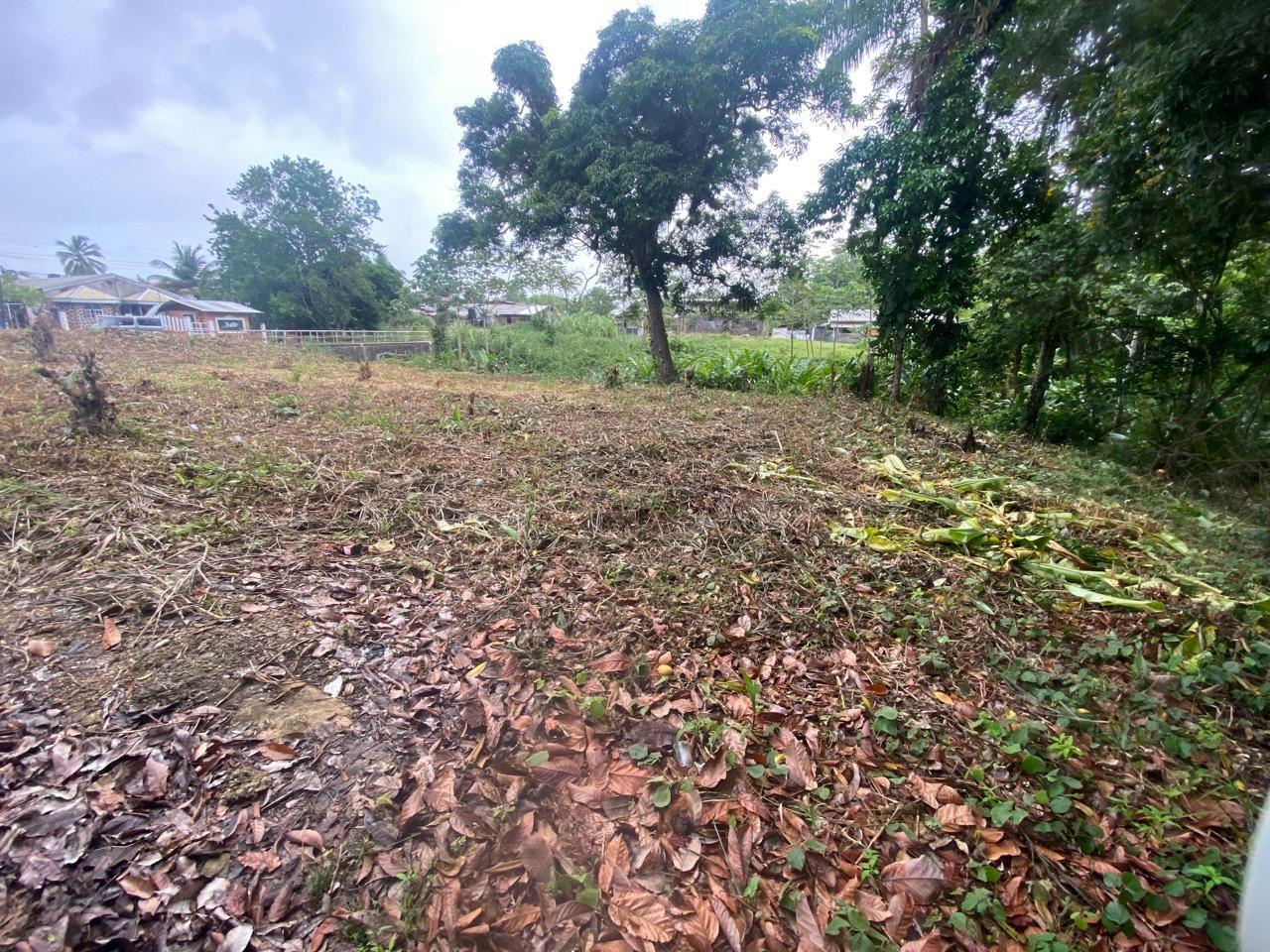 APPROVED SANGRE GRANDE LAND FOR SALE - JEEBODE ROAD, off QUASH TRACE (10,021 sq ft) — photo 5