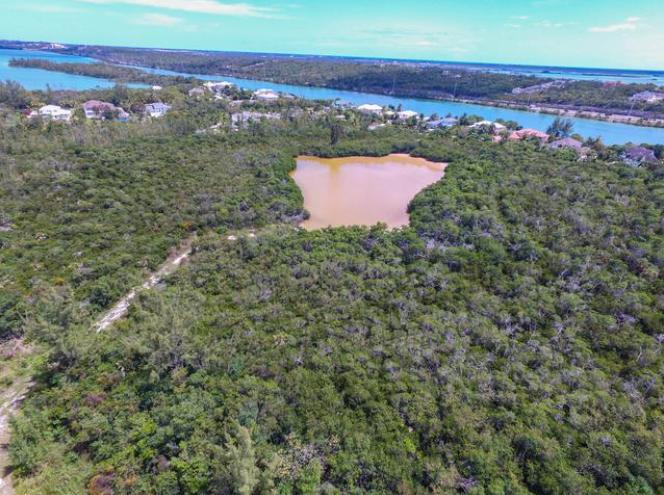 Lot #3 West Place Bahamas — photo 3